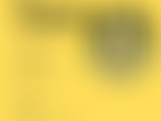 🚨 DRINGEND OP ZOEK NAAR TRAINERS! 🚨