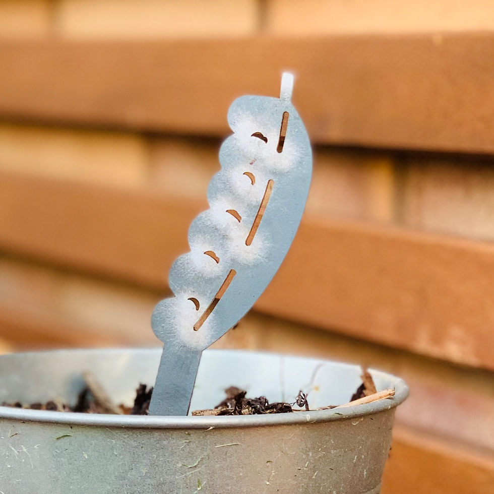 Thumbnail: Rustic Vegetable Stake/Markers