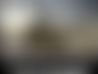 War, Women, Poverty, Immigration and the Environment