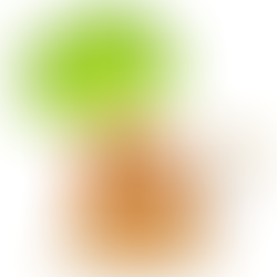 10,000 Miles & A Cloud of Dust Tour - Adventures with Prowess Pt. 3