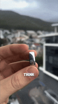 MP_Ring.gif
