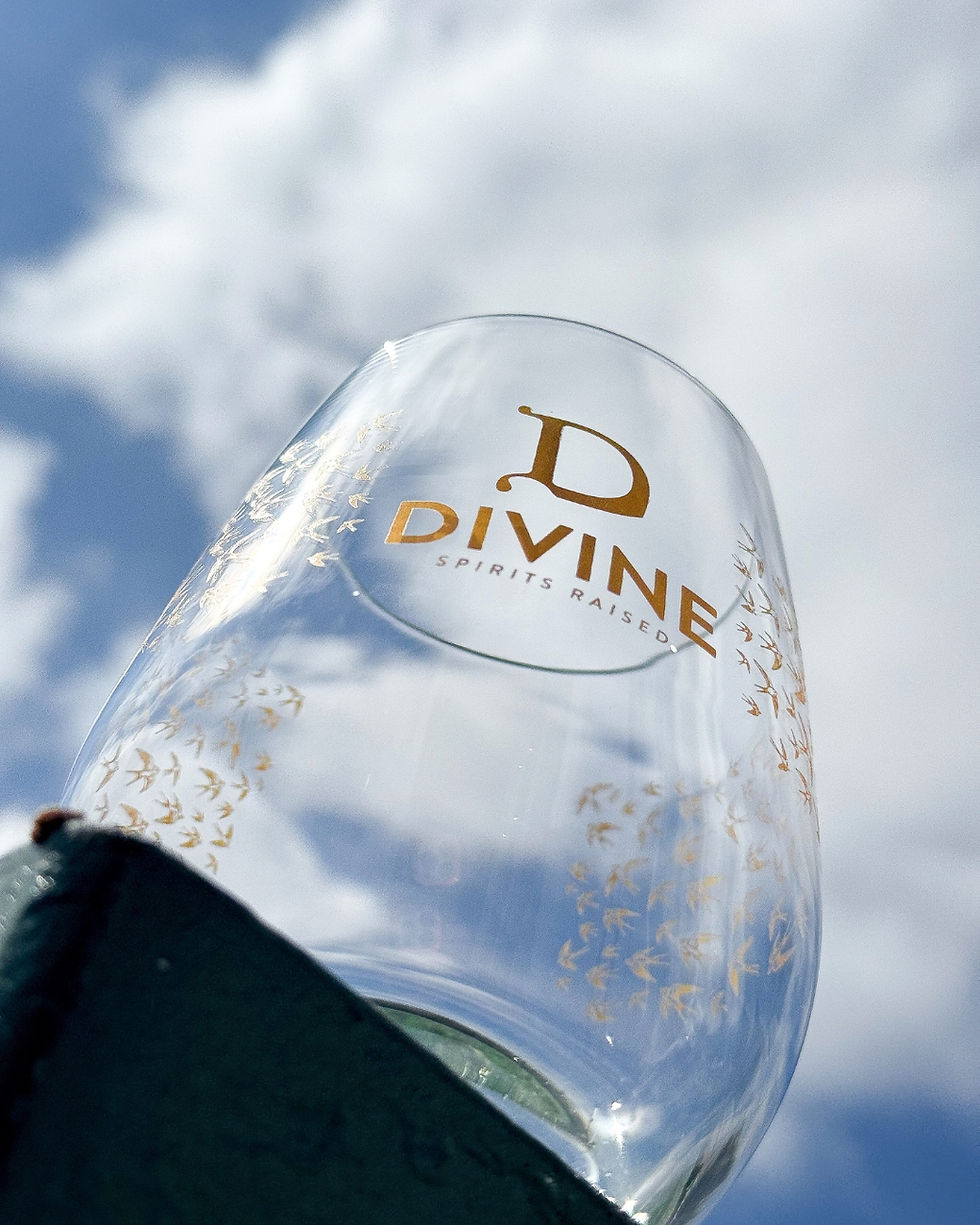 Thumbnail: Divine Miniature 5x5cl Bottle Set