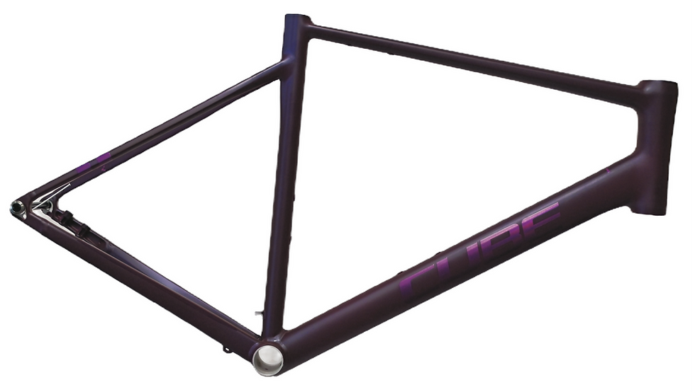 RH58 Alu R64