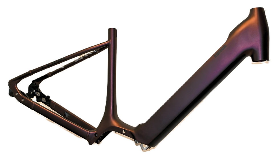 RH50 Editor G209