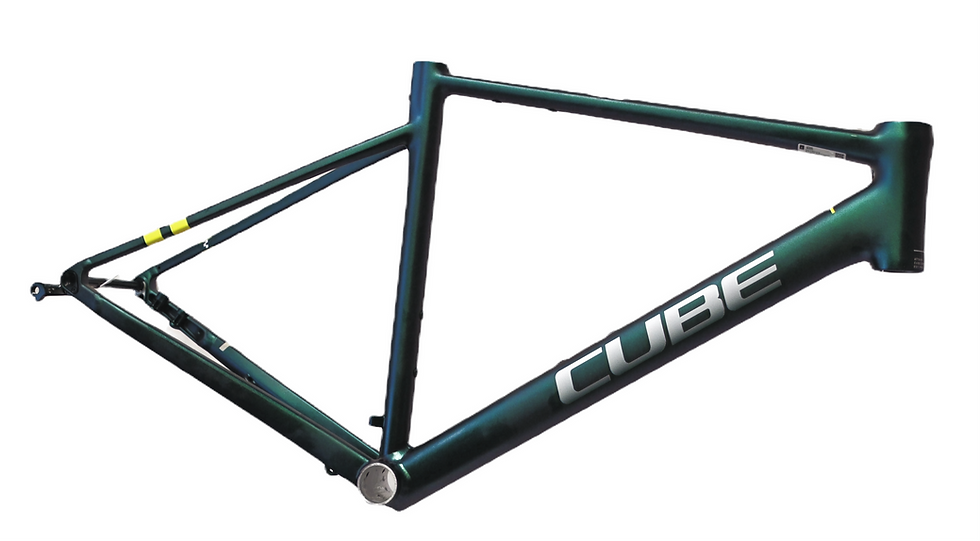 RH53 Alu R67