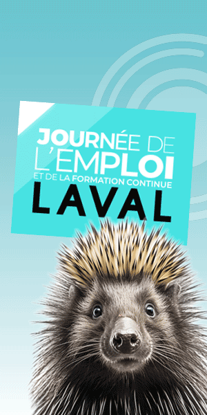 LAVAL-A2026-DOUBLE-ILOT-TAPIS-VOLANT-300x600.gif