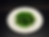 Wakame