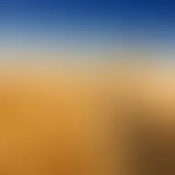 When should you invest in distressed stocks?