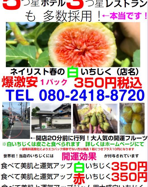 ３００円 吉原さんちの白いちじく 激安 大阪府堺市美原区阿弥３２２ ３