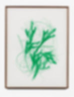 Carmen Argote; Image courtesy of Commonwealth and Council