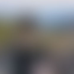 50 Over 50: It Gets Better and Better - Monet Clark's Ecofeminist Animal Women