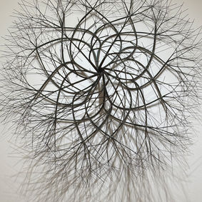 Drawing in Space: The Remarkable Sculptures of Ruth Asawa