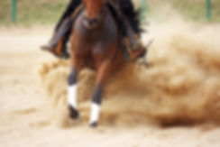 AdobeStock_65428288.jpeg