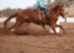AdobeStock_78539468.jpeg