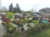 File 2017-04-30, 22 29 14.jpeg