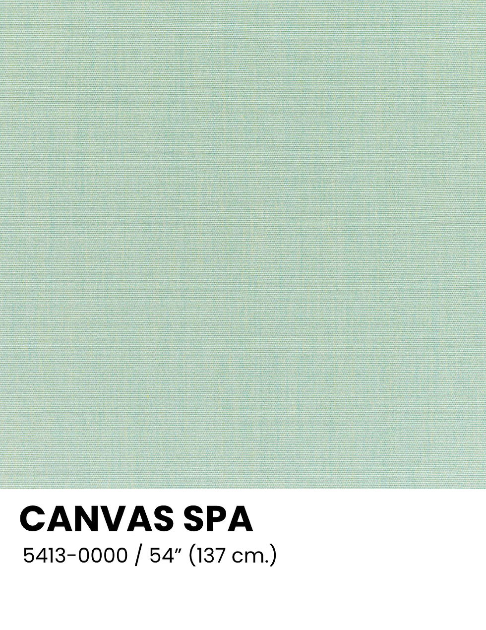CANVAS SPA