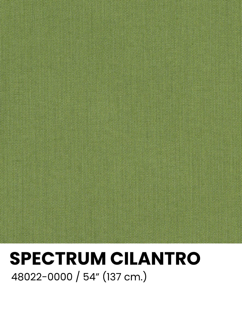 SPECTRUM CILANTRO