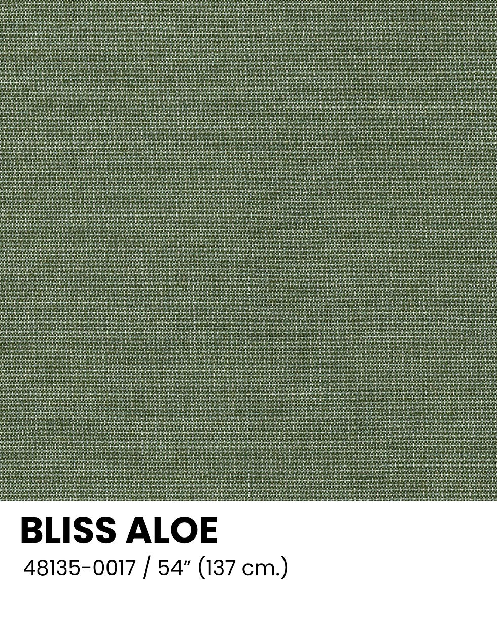 BLISS ALOE