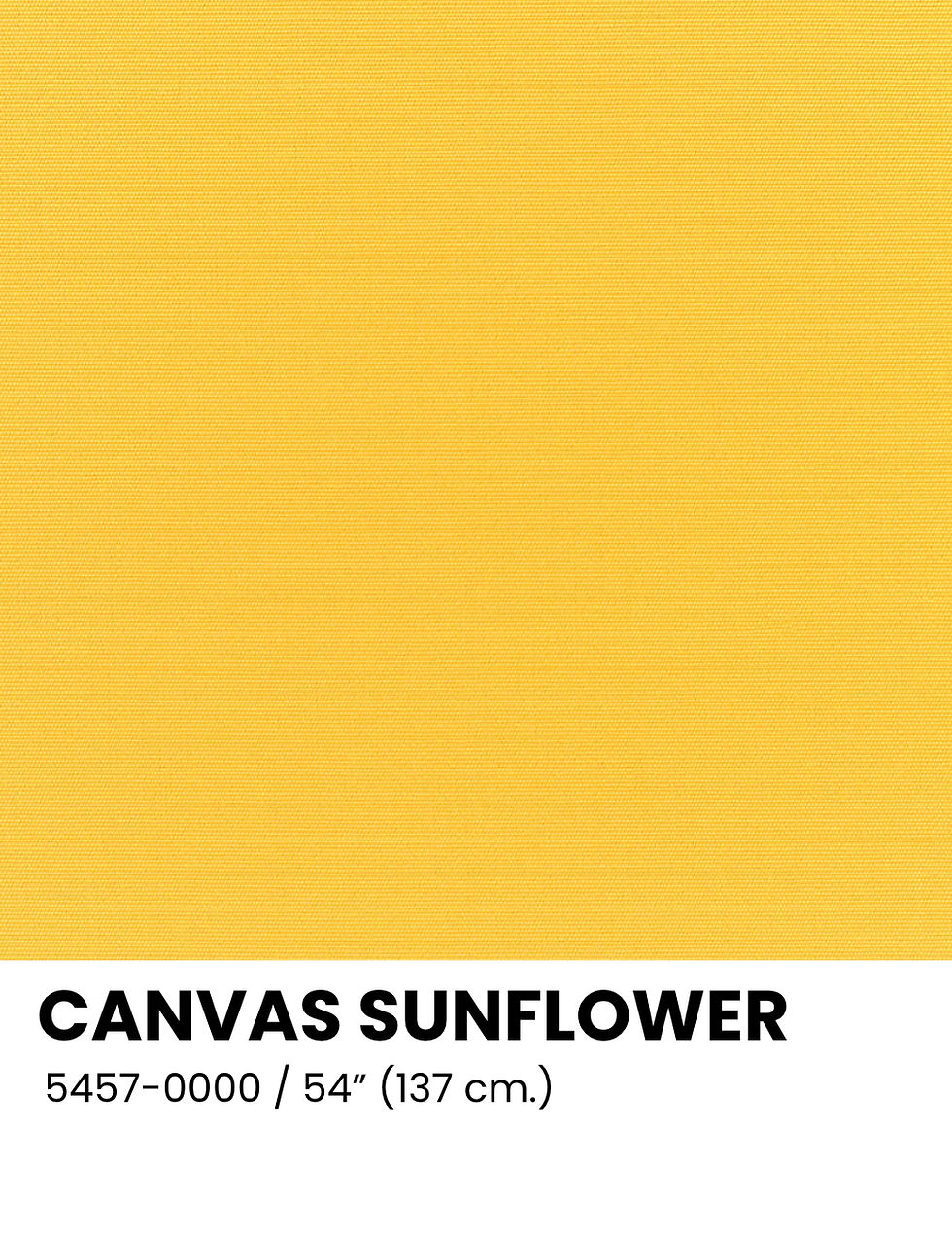 CANVAS SUNFLOWER