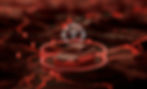 CAR--HEADER.jpg