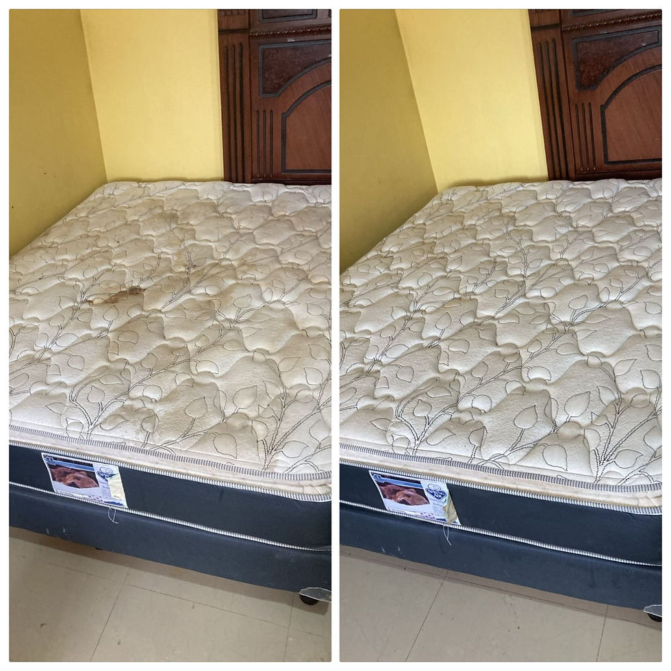 Lavado profesional de colchones en Guadalajara