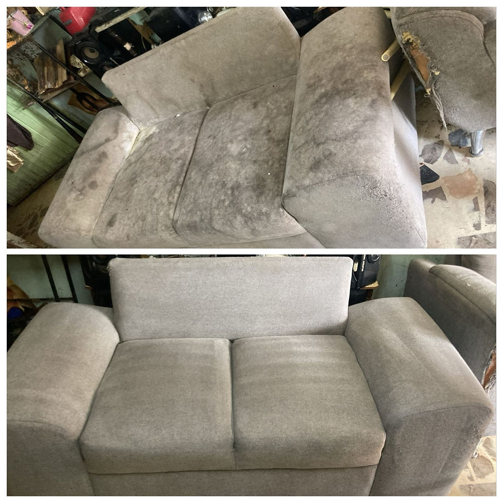 Lavado profesional de todo tipo de salas en Guadalajara