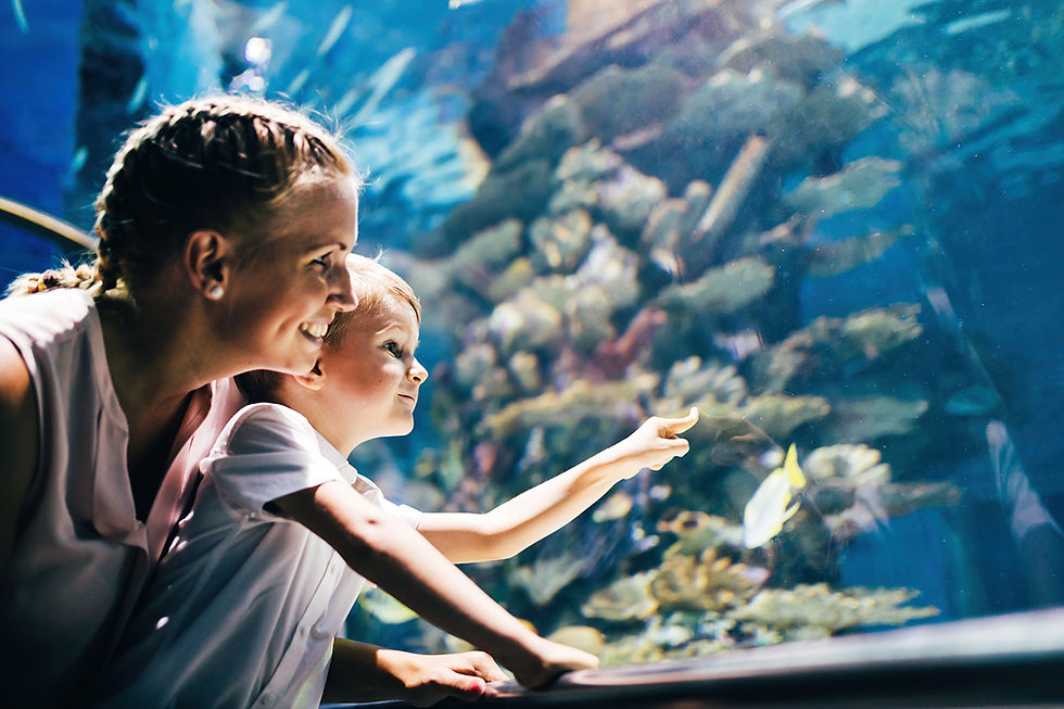 Mother and child smile while pointing at fish in an aquarium. Blue water and coral background create a joyful and vibrant scene.