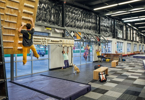 Campus boards and hangboards