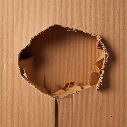 cardboard tear.jpg