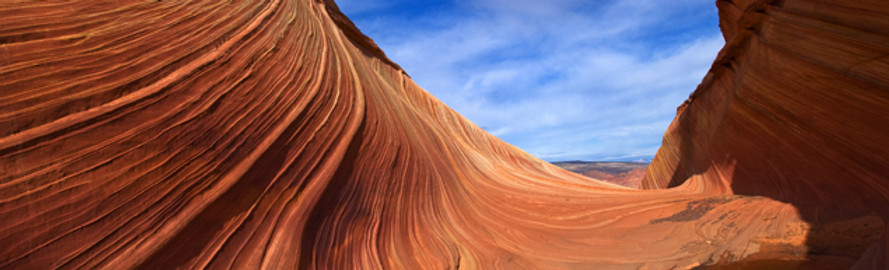 Desert Dune Crop