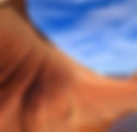 Desert Dune Crop