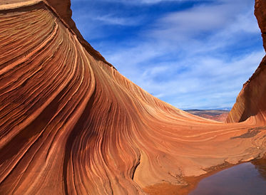 Desert Dune Crop