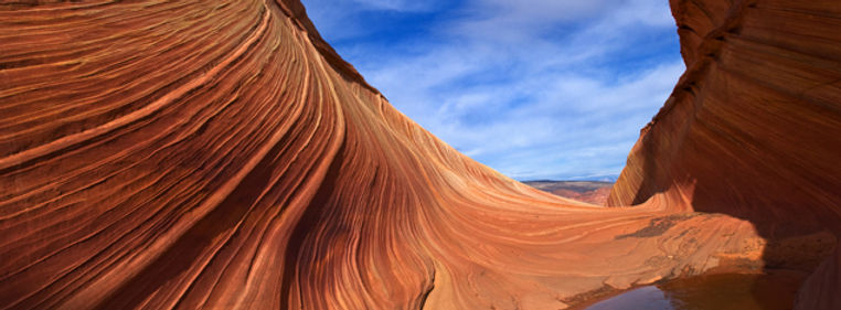 Desert Dune Crop