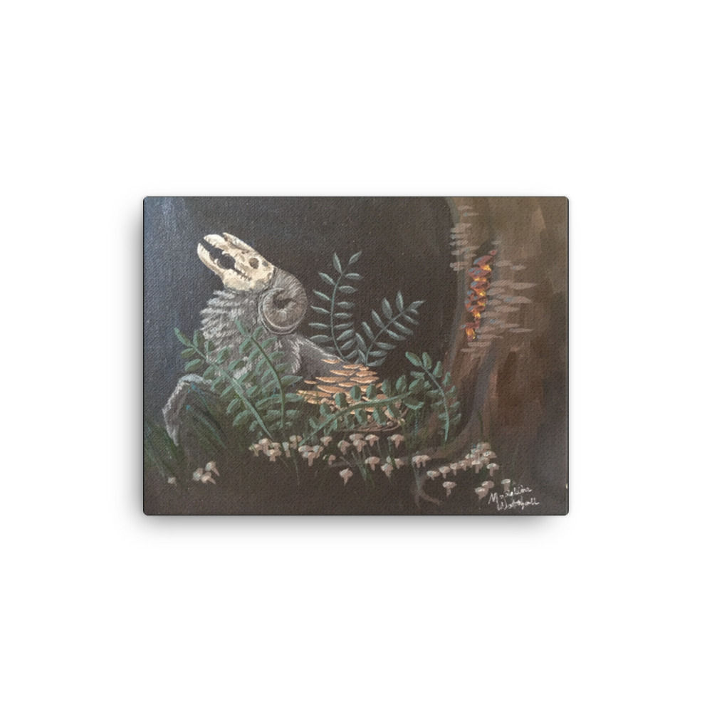 Decomposition Canvas Print