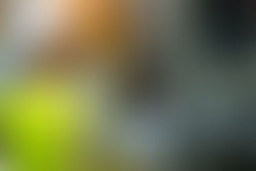 What Is Planned Preventative Maintenance (PPM)?