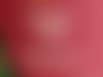 Informations pratiques – Fin d’année