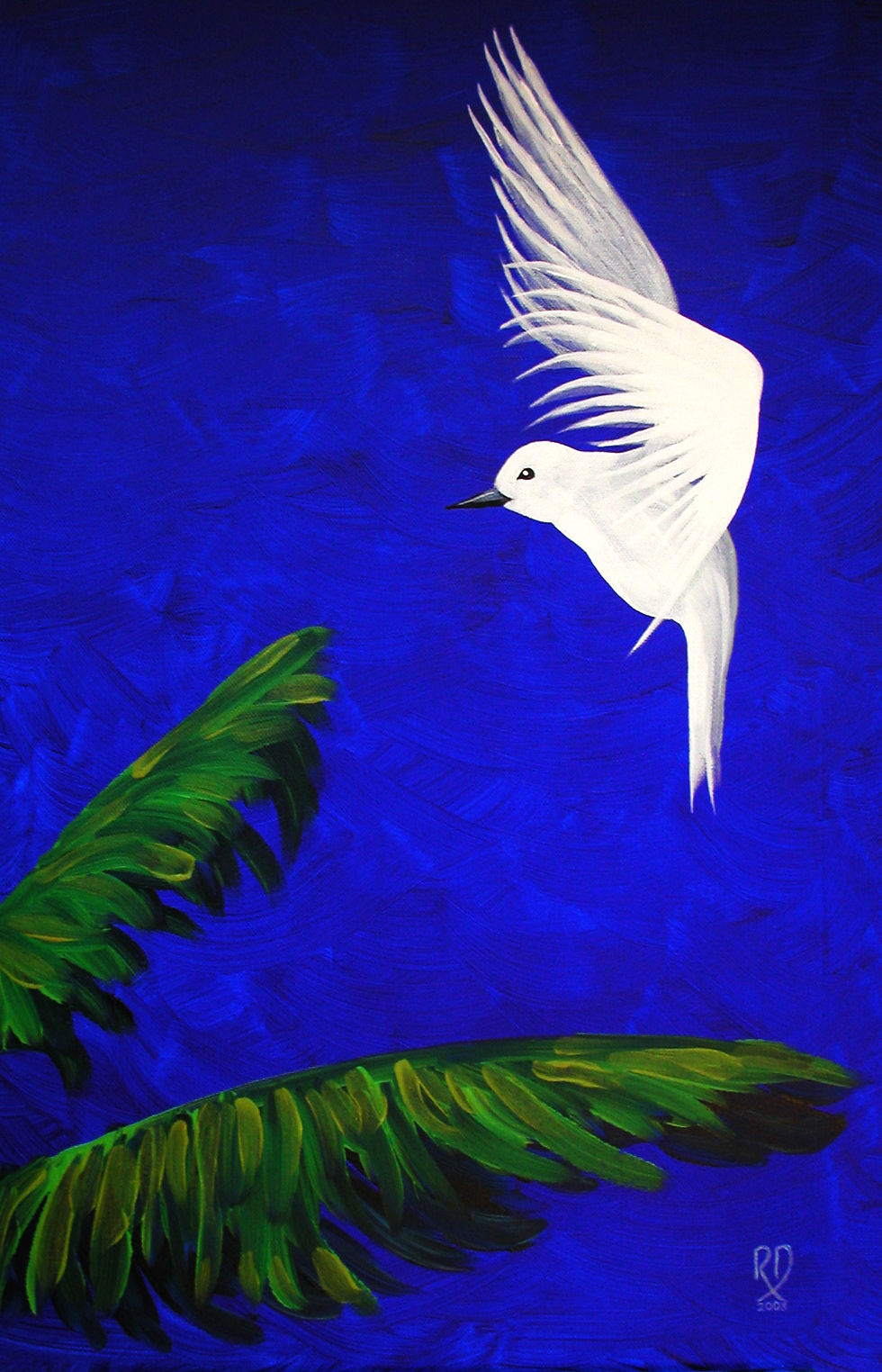 fairy tern.jpg