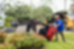 Man operating a machine with visible text, working on a lawn; Gulf Coast Trees.