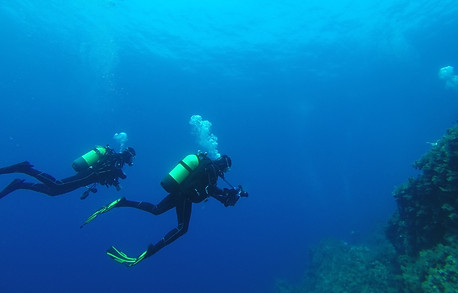 Deux plongeurs qui photographient des massifs en mer