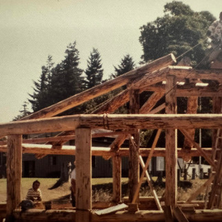 A cabin under construction with wide logs