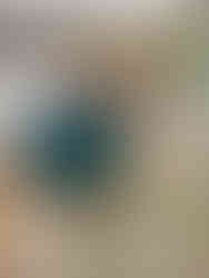 Cindy smiling with a baby goat