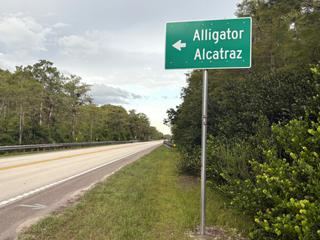 Jack Stevens: The Unmentioned, Other Victims of “Alligator Alcatraz” – Indians