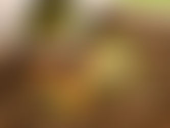 كيفية عمل سماد طبيعي في المنزل لبيئة مستدامة