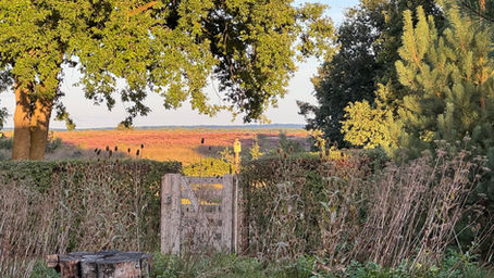 vergadering in de natuur