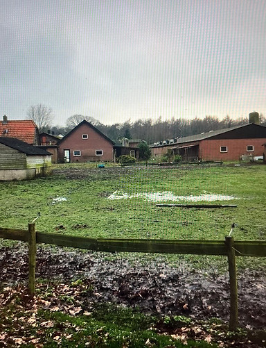 WhatsApp Image 2025-09-03 at 23.09.34.jpeg