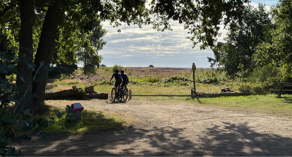 Vergaderen op de Veluwe