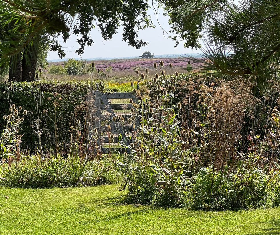 Vergaderen met je gezicht in de zon