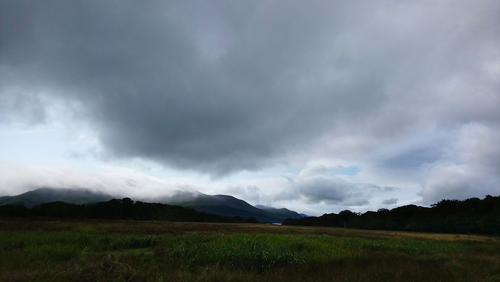 DSC_0296.jpg