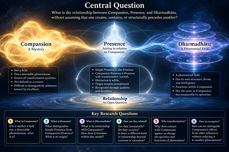 central questions.png