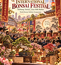 bonsai.png